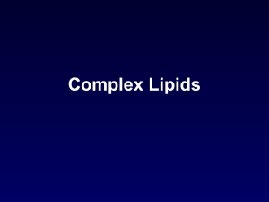 Complex_Lipids_2012