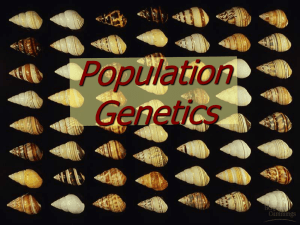 Population Genetics 16