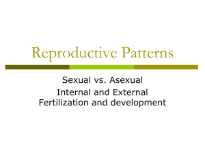 Reproductive Patterns