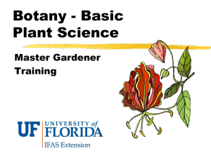 Botany - Plant Science - UF/IFAS Extension Alachua County