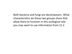 Ch 21 Protists and Fungi