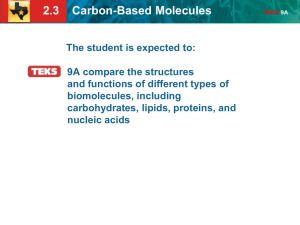 2.3 Carbon-Based Molecules TEKS 9A
