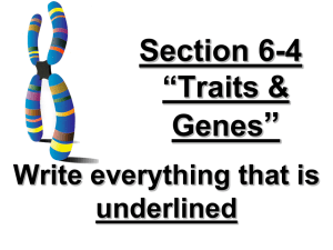 6-4 Traits, genes, alleles