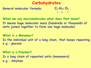 Carbohydrates (PowerPoint)