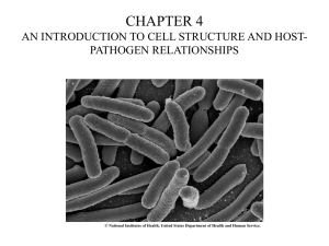 chapter 4 an introduction to cell structure and host