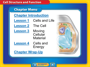 7th Grade Chapter 2 Cell Structure and Function