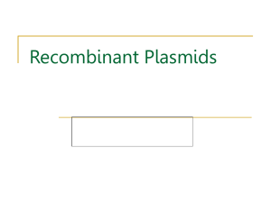 Recombinant Plasmids