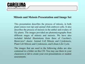 Mitosis and Meiosisx - Social Circle City Schools