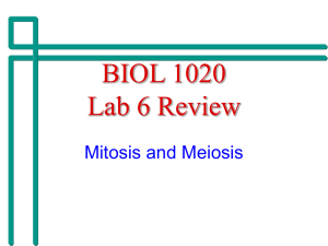 biol1020lab6review