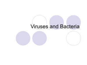 Viruses and Monera