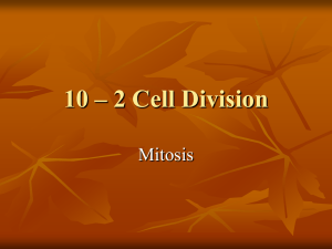 10 – 2 Cell Division