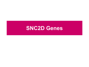 SNC2D Genes - Malvern Science
