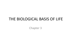 THE BIOLOGICAL BASIS OF LIFE