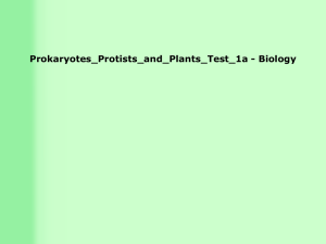 Answers_Prokaryotes_and_Protists_Test_1a