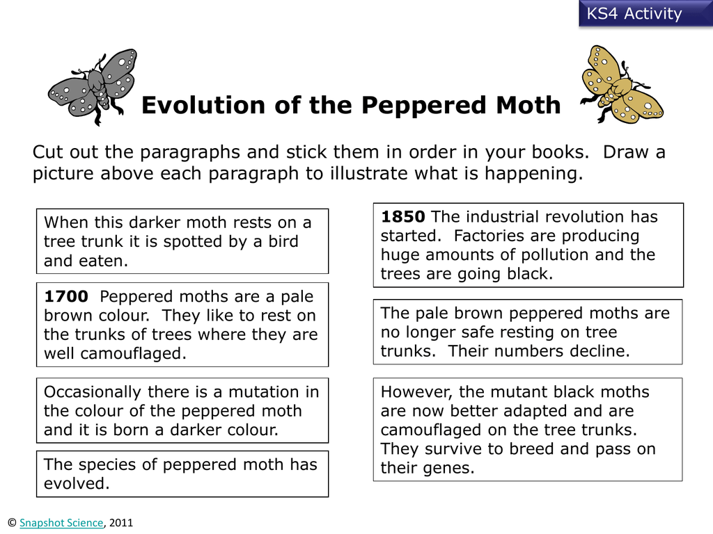 peppered-moth - Snapshot Science