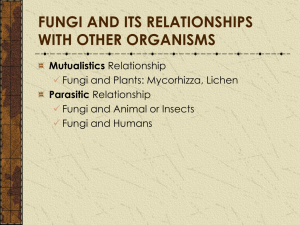 Fungi and other Organism
