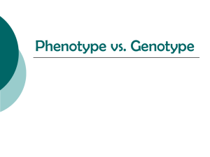 Phenotype vs. Genotype