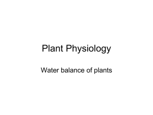 Lec-5 Water balance of plants