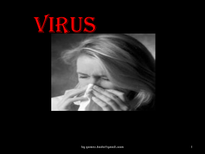 presentasi virus