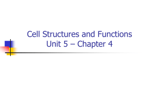 Bio I Chp 4 Cell Structures and Functions