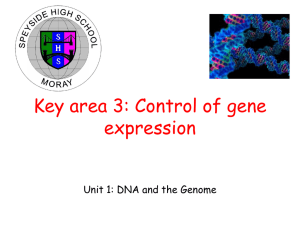 DNA and the Genome - Speyside High School