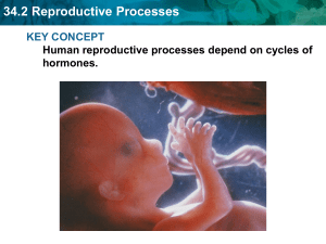 34.2 Reproductive Processes