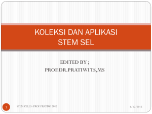 koleksi-STEM-CELLS