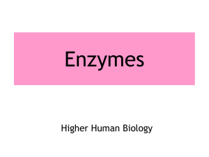 Chapter 2 – Role of enzymes