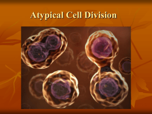Atypical Cell Division