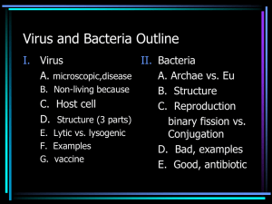 Viruses and Bacteria Notes: