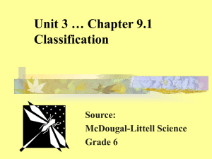 Unit 3 Chapter 9 Classification