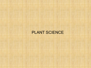 Plant - Gateway IB 2012