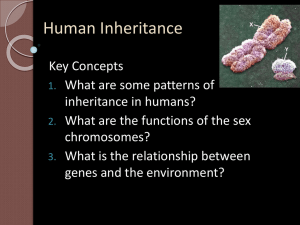 Human Inheritance