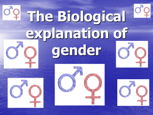 biological-explanations-of-gender-lesson-2