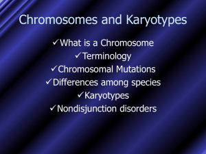 Chromosomes and Karyotypes