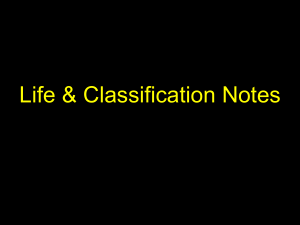 Life & Classification Notes PowerPoint