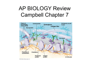 AP BIOLOGY Review Campbell Chapter 7