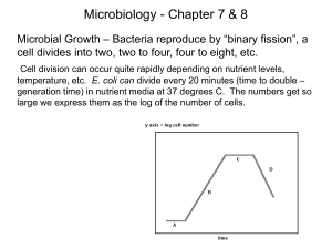 Microbiology - Chapter 7 & 8