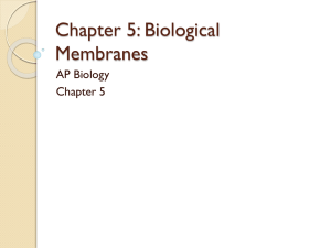 Chapter 5: Biological Membranes