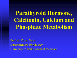 Metabolizam kalcija i fosfata, vitamin D, paratireoidni hormon