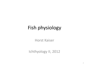 Physiology part 1 - Rhodes University