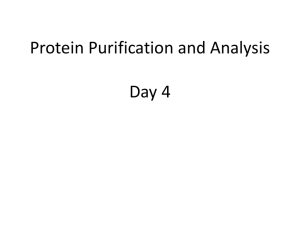 Protein Purification and Analysis Day 4