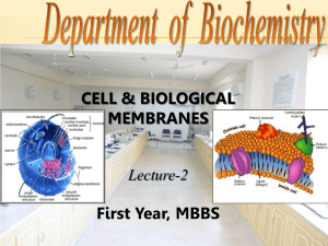 Cell and cell mebrane Lecture-2