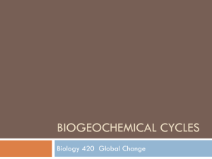 Biogeochemical Cycles - Cal State LA