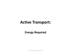SB-7-3_Active Transport PPT