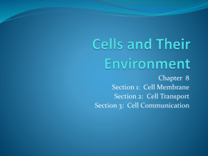 Cells and Their Environment Chapter 8