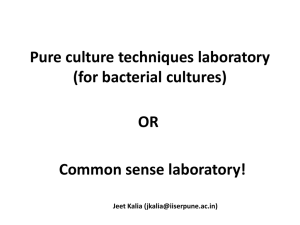 Pure culture techniques laboratory