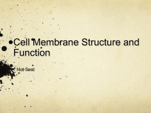 Hot Seat - Cell Membrane Structure _ Function