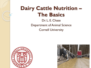Dairy Cattle Nutrition * The Basics