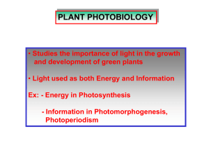 Photobiology lecture